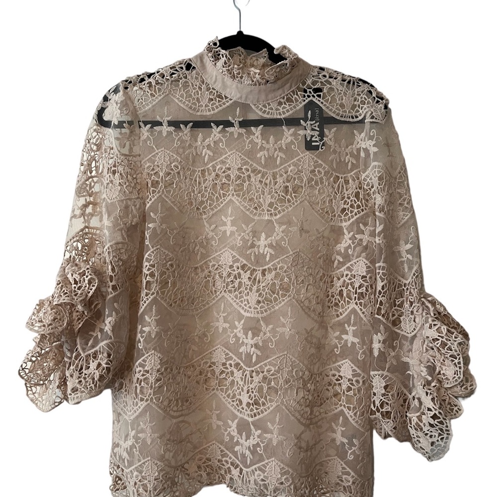 NWT INA Sheer Lace Ruffled Sleeve Pale Pink Top